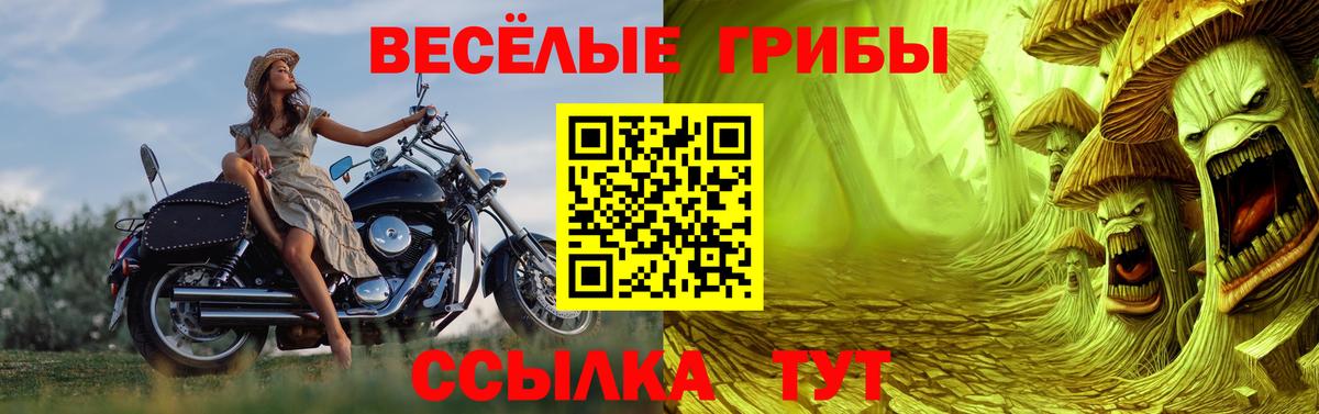 Псилоцибиновые грибы Psilocybe Костомукша